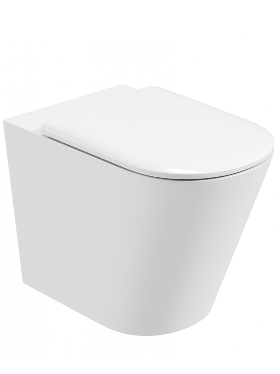 RIMLESS Toilets Roxy Wall Hung Rimless Toilet with Soft Close Seat