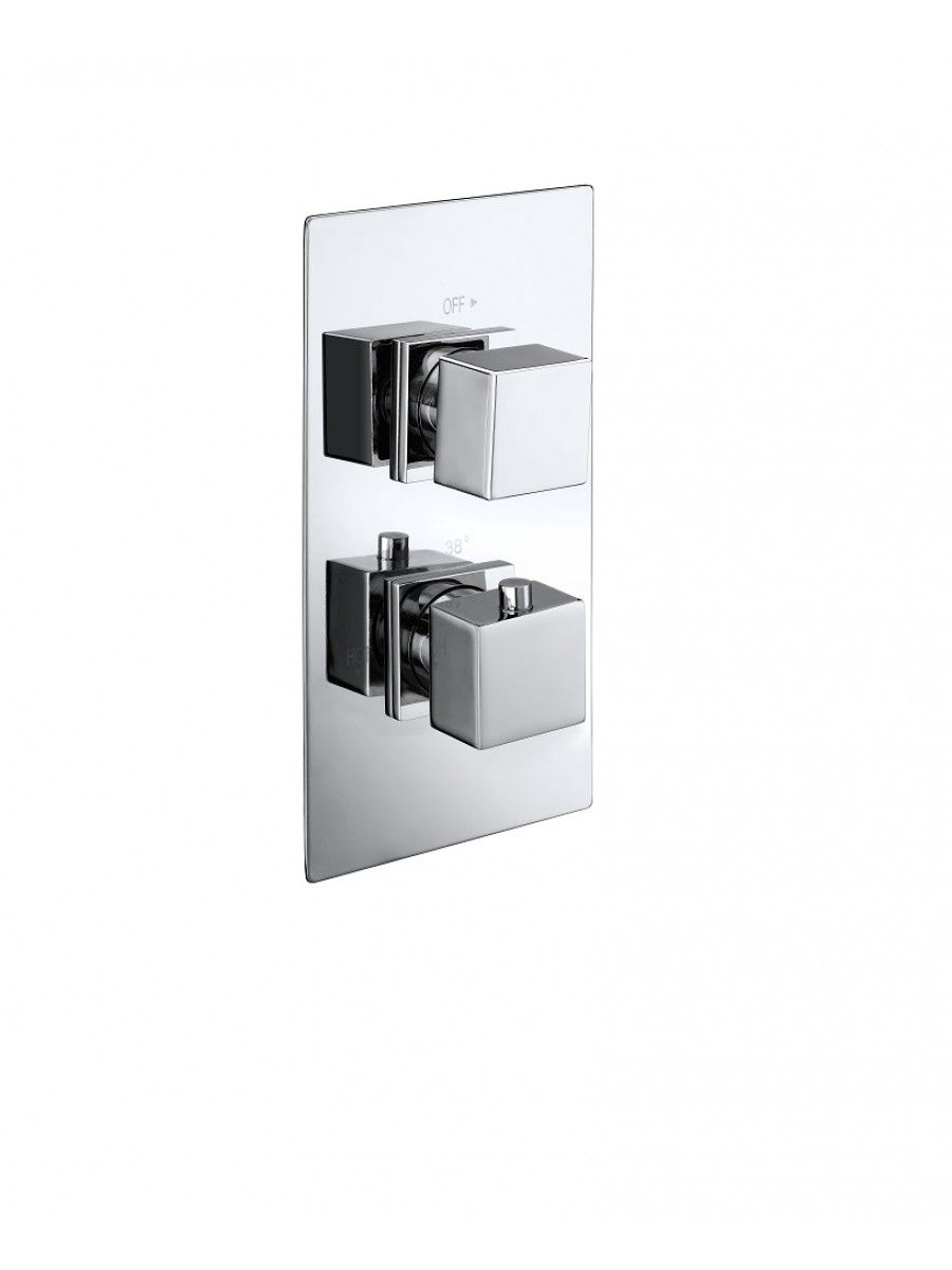 Concealed Shower Valves VICTORY Dual Control Shower Valve